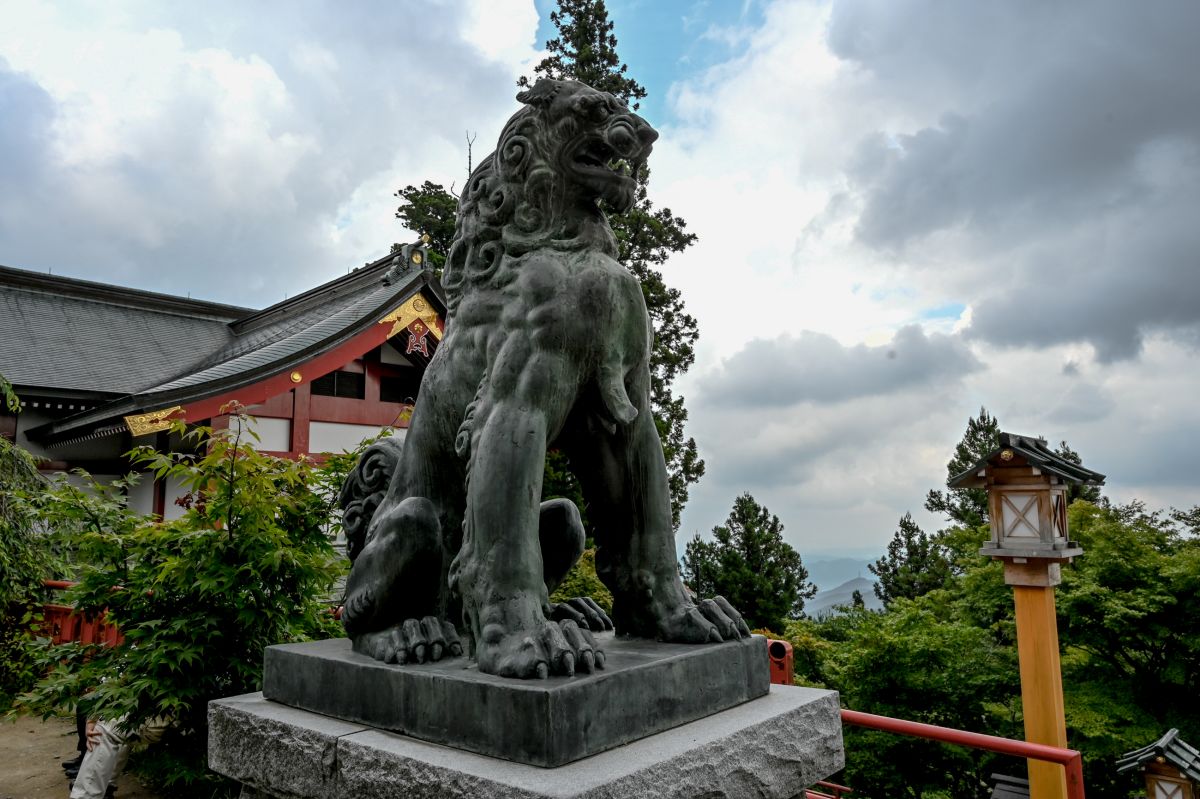 レンゲショウマ・御岳山